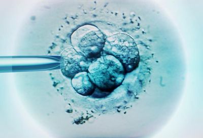 Trump signs executive order expanding access to IVF, says White House