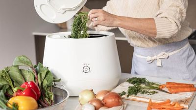 This food recycler turns kitchen waste into nutrient-rich compost – but it’ll cost you