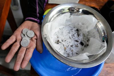 Village offers cash bounty for mosquitos amid dengue outbreak