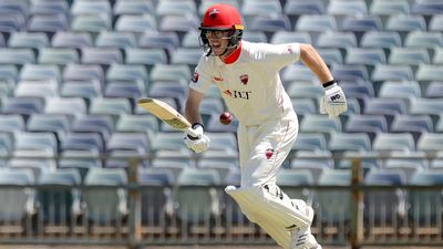 SA batsmen thrive to take upper hand over Tasmania