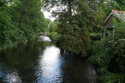 Teams work to curb environmental impact from oil spill in chalk stream