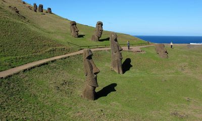 ‘The last plant left’: can Rapa Nui’s extinct tree be resurrected?