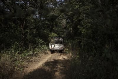 Senegal's Lions Threatened By Illegal Trade Of Gris-Gris