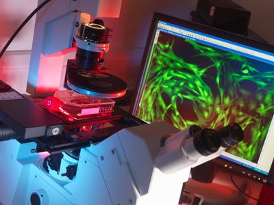 The quest to measure A.I.