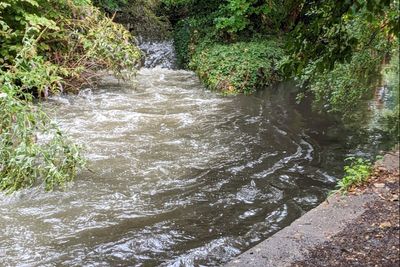 Croydon oil spill: Labour MP vows to hold people 'accountable' after diesel spill causes 'ecological disaster'