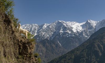 British tourist dies after rescue from mountain trail in Himalayas