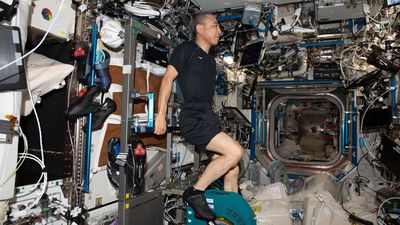 The next giant leap? How jumping could help astronauts train for trips to the moon and Mars