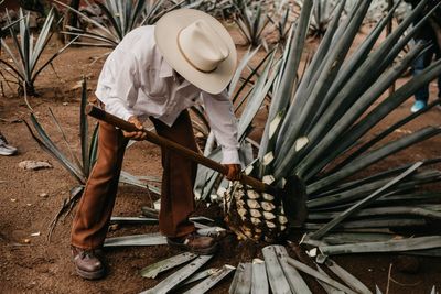 How Casa Noble is making some of Mexico’s most refined tequila