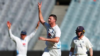 Bird has milestone day as NSW take down Victoria