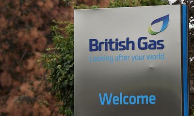 British Gas pledges to focus on customers after being overtaken by Octopus