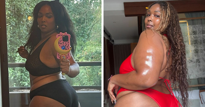 Lizzo Looks Even Slimmer In Bra And Panty Mirror Snap After Reaching Her Weight-Loss Goal