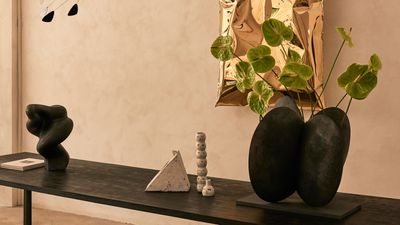 The Flower of the Moment? This Glossy-Headed Plant Is the Unexpected Pick That Feels 'Artistic' and 'Edgy'