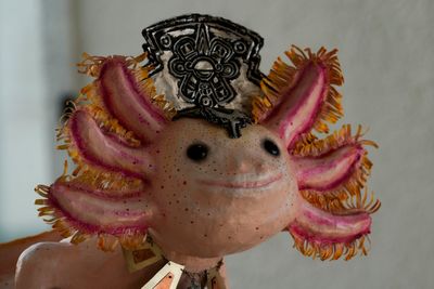 From an Aztec god to Minecraft star. Why does Mexico love the axolotl so much?