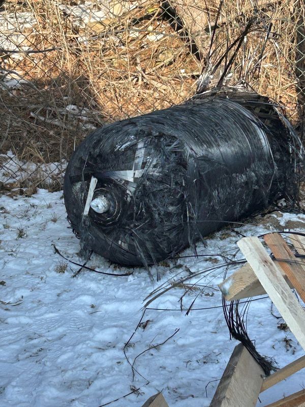 Pieces of debris 'from Elon Musk's SpaceX rocket' fall through atmosphere in Poland