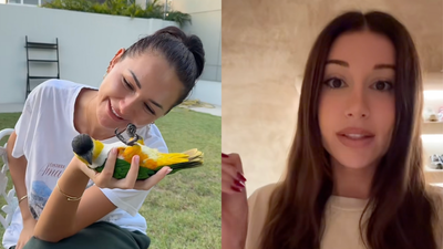 Mikaela Testa Accuses Anna Paul Of Animal Abuse In Latest TikTok: ‘I Witnessed This’