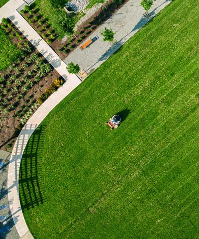 Should you buy a remote-controlled lawnmower? Lawn professionals reveal when these clever contraptions would be worth the investment