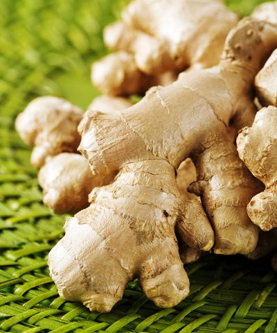 How to grow ginger indoors – and enjoy a fresh, year-round harvest of this nutritious root