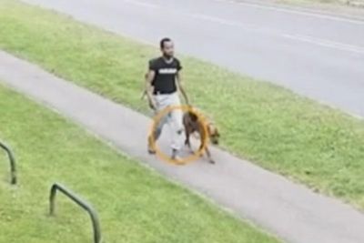 Murderer casually walks dog moments after stabbing 19-year-old mother to death