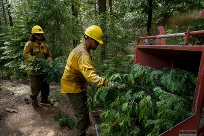 How Trump's mass layoffs raise the risk of wildfires in the US West, according to fired workers