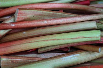 Supermarket reports surging demand for ‘flavour of the moment’ rhubarb