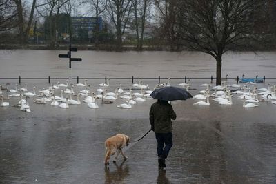 Weather warnings issued across all four nations amid heavy rain and strong winds