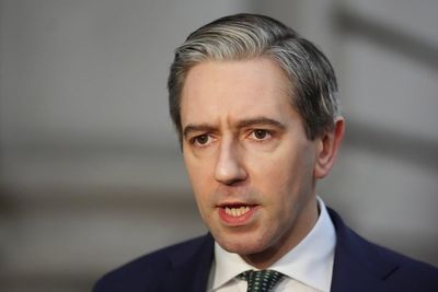 Sinn Fein’s US boycott does not help anybody in Palestine, Simon Harris says