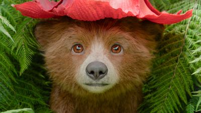 Paddington in Peru's animation works because of one small detail