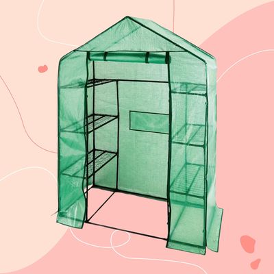 Aldi's £30 walk-in greenhouse is back — it was a huge hit with gardeners last year so act fast or risk missing out