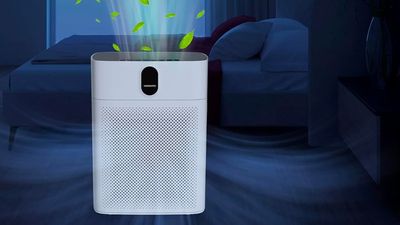 Amazon is selling a $130 air purifier that's a 'game changer' for people with allergies, and now it's only $82