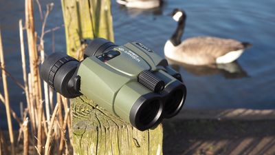 Kenko VC Smart Cellarto 10x30 WP binocular review