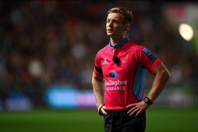 Wales v Ireland referee: Who is Six Nations official Christophe Ridley?