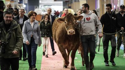 Agriculture Show opens in Paris with Morocco as guest of honour