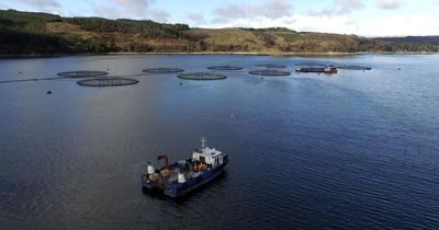 Scottish company lands huge contract to build boats for major fish farm firm