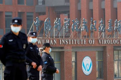 New bat strain of coronavirus discovered by researchers in Wuhan
