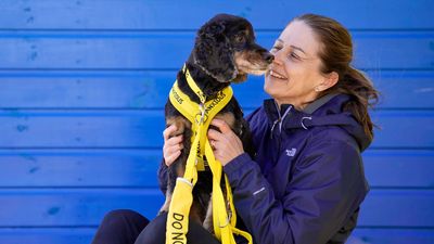 ‘It’s all about advocating for your dog’: Owner battles to raise awareness for anxious pups with #DogsInYellow campaign