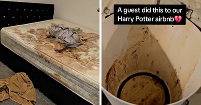 “Sue Them”: Owner Of Harry Potter AirBnB Left Heartbroken After Guests Left It In Terrible Conditions