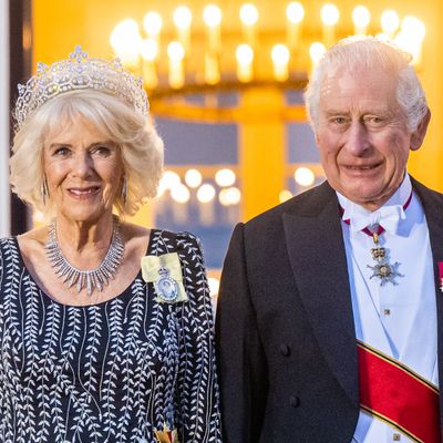 King Charles Plans to Surprise Queen Camilla With an Extremely Special Gift After a Tumultuous Year