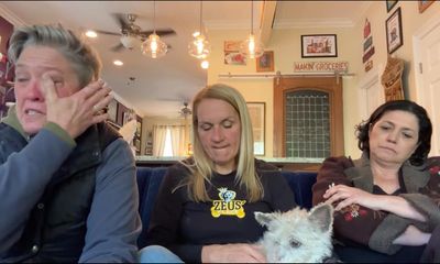 Custody spat over New Orleans escape-artist dog settled with visitation agreement