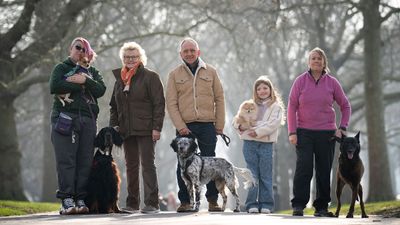 Which canine ‘unsung hero’ do you think deserves the Kennel Club Hero Award? Read their amazing stories and cast your vote