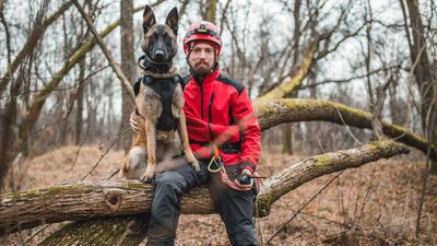 10 best tracking breeds with the most powerful noses
