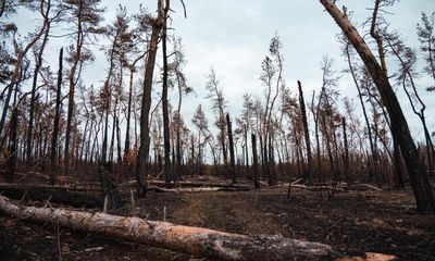 Forest fires push up greenhouse gas emissions from war in Ukraine