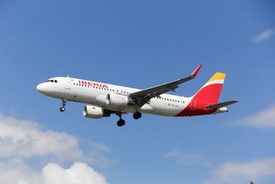 Iberia flight delayed after pilot bitten by spider that crawled onto the plane