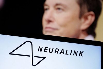 Scientists reviewing Musk’s Neuralink are fired – then rehired – from FDA following flurry of DOGE cuts