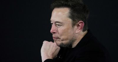 Elon Musk sued by federal workers over threats to fire them