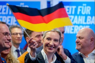 Who are the AfD? Germany’s new far-right opposition and the subject of Elon Musk’s infatuation