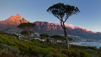 Iconic South African hiking trails closed after fierce Table Mountain wildfire