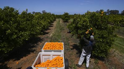 Pacific worker labour scheme wage boost changes delayed