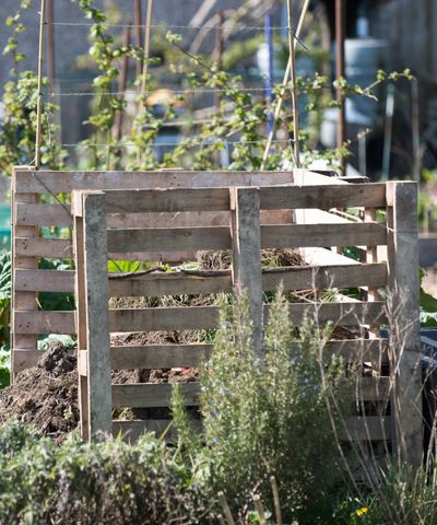 How to make a compost bin out of pallets – gardening pros reveal how to repurpose old wood for vital compost