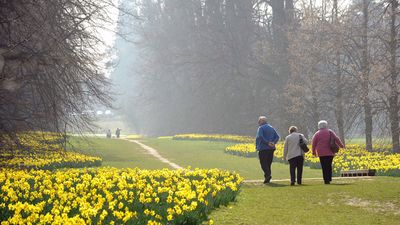 Wild Weather Ahead: Sunny Spells, Chilly Mornings & Surprise Showers This Week