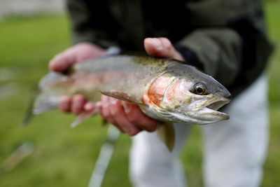 Omega-3s ‘could be vital in motor neurone disease and dementia protection’